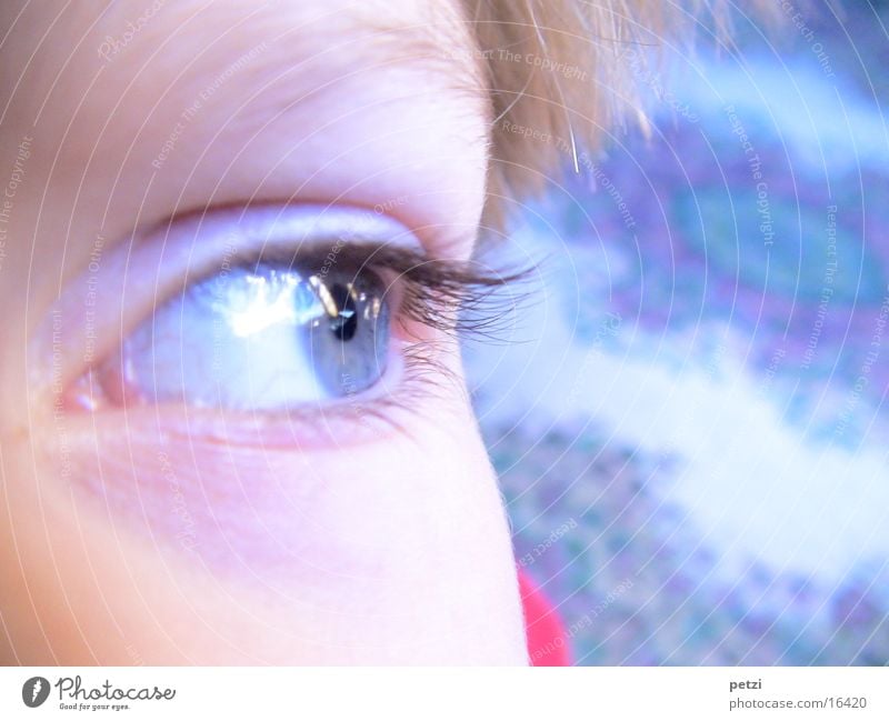 Der blaue Blick Gesicht Kind Auge Himmel Hälfte Wimpern Aufapfel Farbfoto mehrfarbig Außenaufnahme Textfreiraum rechts Blick nach vorn