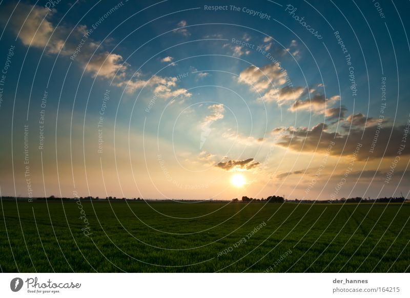 Verstahlung Farbfoto Außenaufnahme Experiment Menschenleer Abend Dämmerung Licht Kontrast Silhouette Lichterscheinung Sonnenlicht Sonnenstrahlen Sonnenaufgang