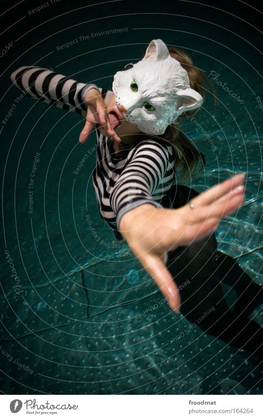 Katzenwäsche Farbfoto Innenaufnahme Abend Tierporträt Oberkörper Blick Blick in die Kamera feminin Frau Erwachsene Hand Finger 1 Mensch Schwimmen & Baden