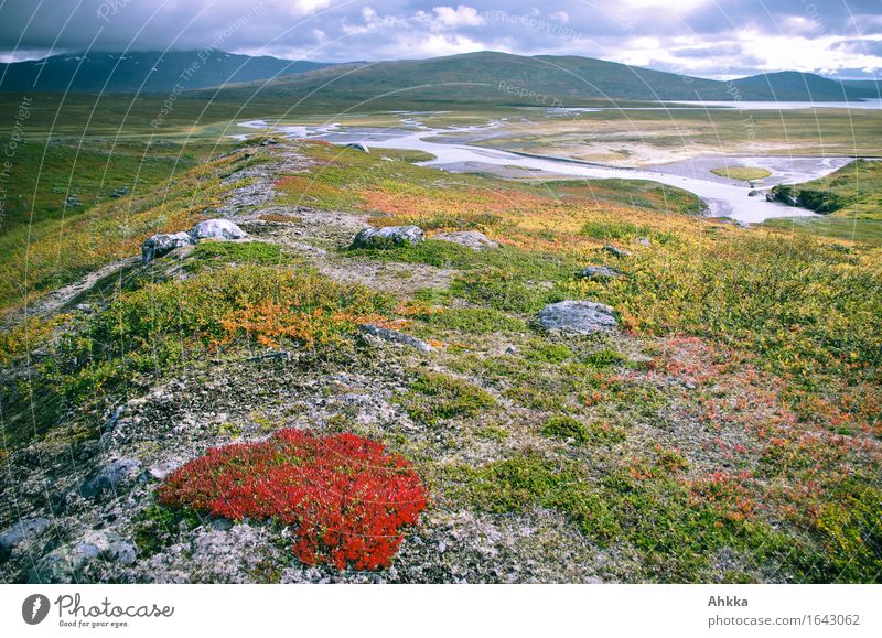 Schauplatz harmonisch Wohlgefühl Erholung ruhig Duft Ferne Herbst Moos Berge u. Gebirge Delta Fjäll blau gelb grün orange rot einzigartig Kreativität
