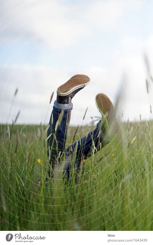 glücksfall Mensch feminin Frau Erwachsene Leben Beine Fuß 1 Umwelt Natur Landschaft Frühling Gras Wiese Jeanshose Schuhe entdecken Spielen toben Fröhlichkeit