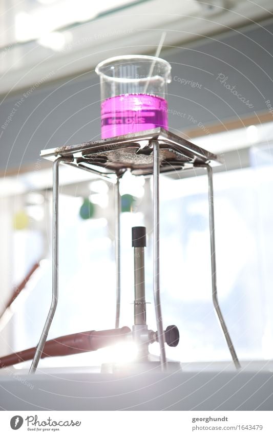 Labor zur Feststellung der Attraktivität von pinker Farbe - I Lebensmittel Glas Studium lernen Student Industrie Technik & Technologie Wissenschaften
