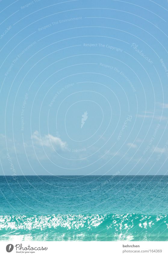 seychellen gehen bei mir am besten Farbfoto Außenaufnahme Textfreiraum oben Sonnenlicht Ferien & Urlaub & Reisen Ferne Freiheit Sommerurlaub Sonnenbad Strand