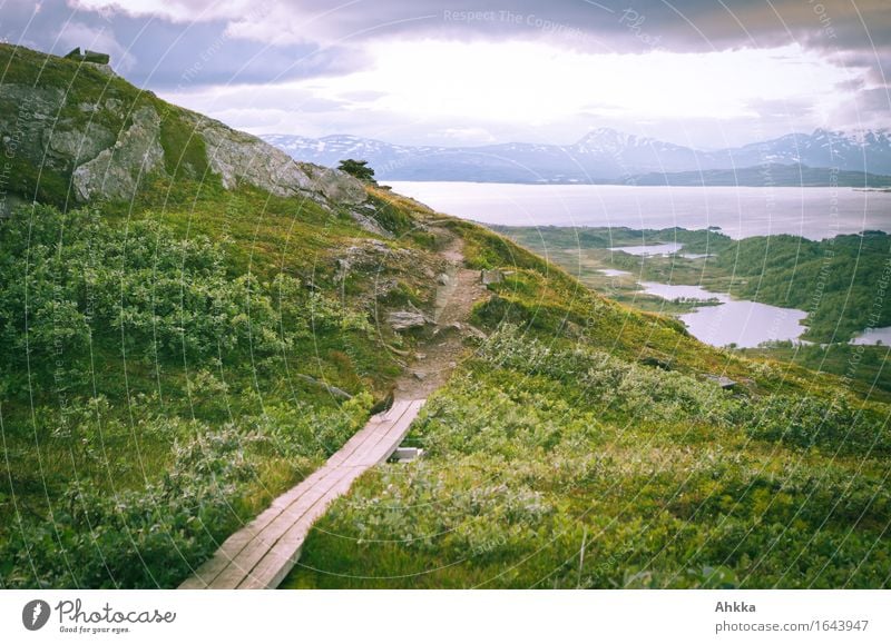 Bergweg Pflanze Berge u. Gebirge Gipfel See Holz Unendlichkeit blau grün Beginn anstrengen Einsamkeit Horizont Leidenschaft Natur Perspektive Wege & Pfade Ferne