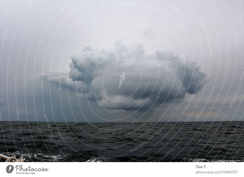 eine Wolke Umwelt Natur Urelemente Wasser Himmel Wolken Gewitterwolken Horizont Sommer Wellen Ostsee Meer Klima Farbfoto Außenaufnahme Menschenleer
