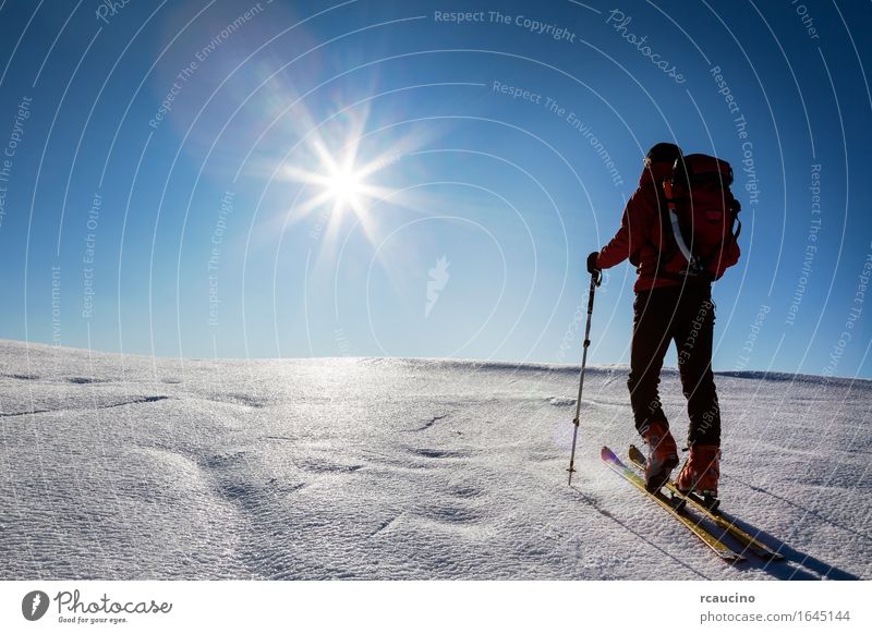 Skibergsteiger geht Hügel auf einem Gletscher. Ferien & Urlaub & Reisen Tourismus Ausflug Abenteuer Expedition Sonne Winter Schnee Berge u. Gebirge wandern