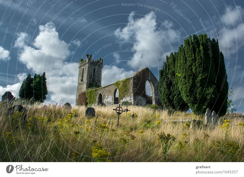 Ruine einer alten Kirche mit Friedhof in Irland Kirchturm Republik Irland Grabstein Einsamkeit Ende Erinnerung friedlich erinnern Vergangenheit Hügel Kapelle