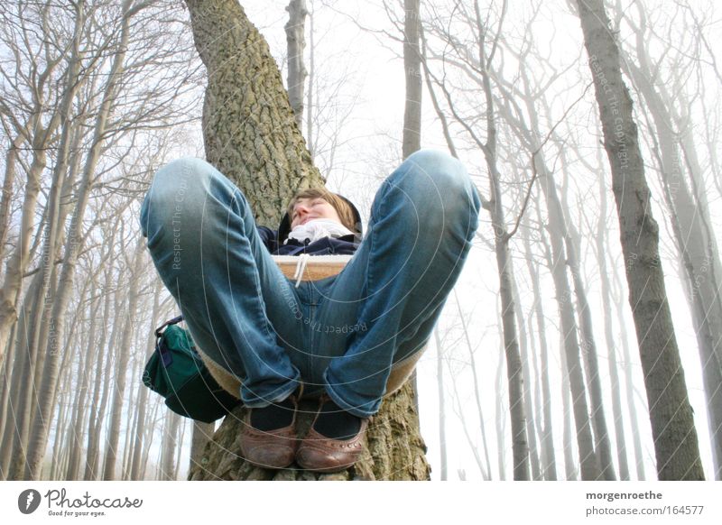 serotonin & dopamin Ostsee Nebel Baum Wald Frau weiblich erholen Mensch blau Liebling Freiheit wirklich Bildausschnitt