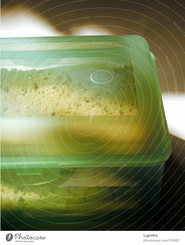 Magst Du ein Bütterken? Belegtes Brot grün Käse Licht Tupperware Lebensmittel Ernährung tupper Detailaufnahme Makroaufnahme Statue ppt