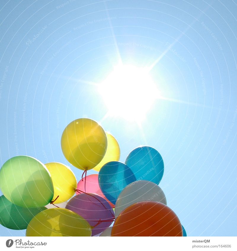 Auf zur Sonne. Farbfoto mehrfarbig Außenaufnahme abstrakt Menschenleer Tag Licht Kontrast Sonnenlicht Sonnenstrahlen Gegenlicht Starke Tiefenschärfe