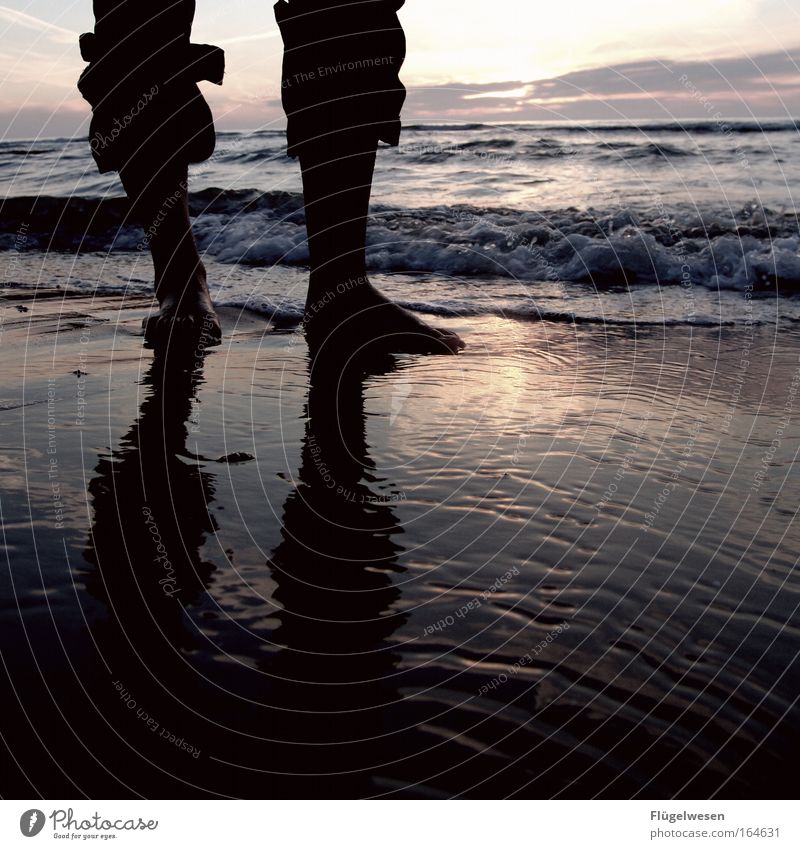 Nasse Füße riechen nicht, aber schmecken salzig! Wasser Meer Einsamkeit Ostsee Nordsee Barfuß Beine Fuß Sonnenuntergang Shorts