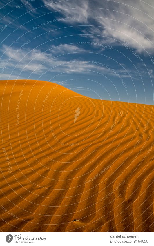 der Himmel über der Wüste Farbfoto mehrfarbig Außenaufnahme Menschenleer Textfreiraum oben Abend Licht Schatten Ferien & Urlaub & Reisen Expedition Sand Klima