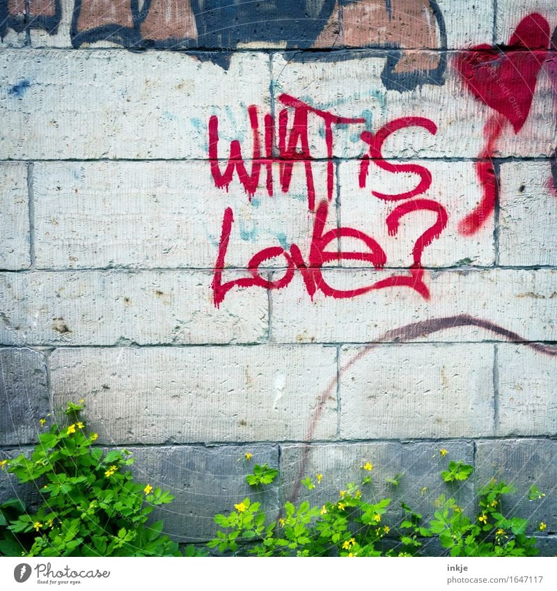 Liebe ist... Lifestyle Menschenleer Mauer Wand Zeichen Schriftzeichen Graffiti Herz Fragezeichen rot Verliebtheit Romantik Fragen Sinn Vor hellem Hintergrund