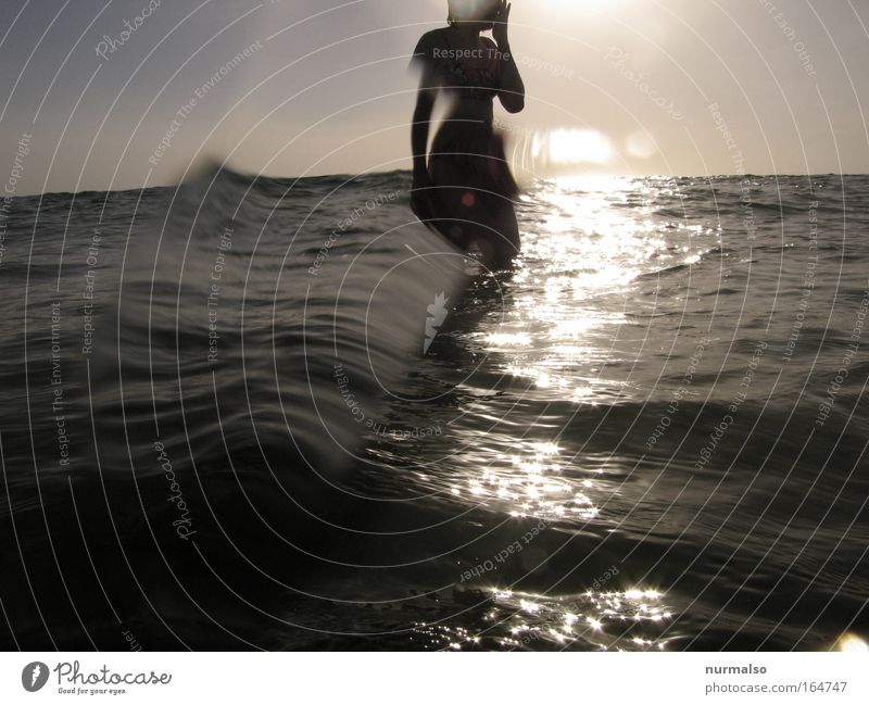 sunn downer in the Ocean Farbfoto Dämmerung Licht Reflexion & Spiegelung Wassersport feminin Junge Frau Jugendliche 1 Mensch 18-30 Jahre Erwachsene Jugendkultur