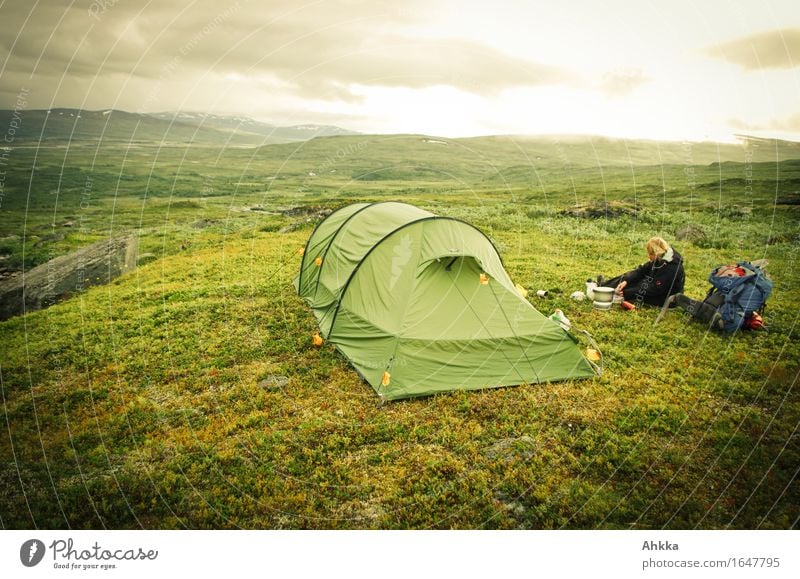 Zeltlager ruhig Ferien & Urlaub & Reisen Abenteuer Camping Berge u. Gebirge wandern feminin 1 Mensch Landschaft Fjäll grün Einsamkeit Freiheit Farbfoto