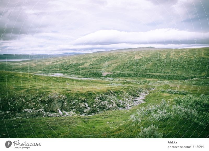 Der hohe Norden XVII Natur Landschaft Berge u. Gebirge Bach wild grün Farbfoto Außenaufnahme Tag Vogelperspektive