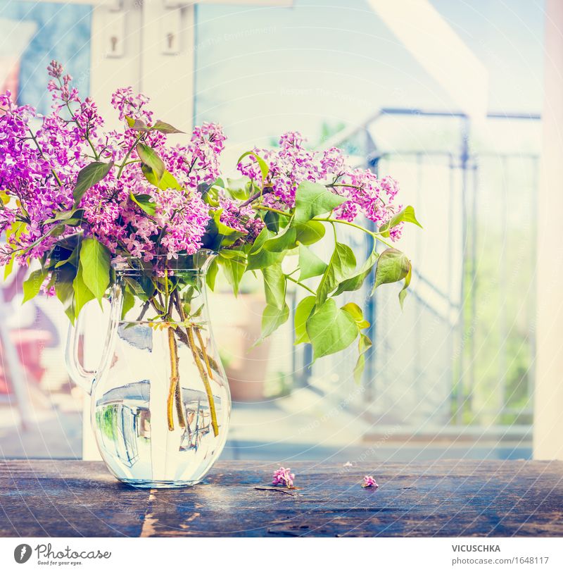 Flieder Blumstraß in Glas-Vase auf dem Fenster Lifestyle Stil Design Häusliches Leben Garten Innenarchitektur Dekoration & Verzierung Tisch Wohnzimmer Natur