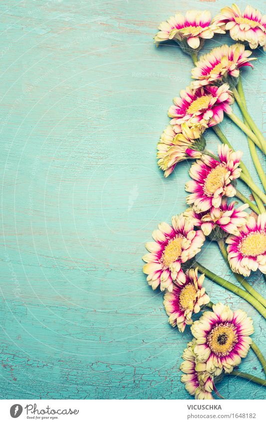 Blumenbündel auf türkisblauen Shabby Chic Hintergrund Stil Design Freude Glück Sinnesorgane Erholung ruhig Meditation Duft Sommer Feste & Feiern Valentinstag