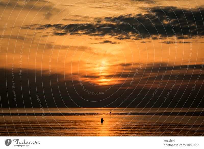 der Angler Natur Landschaft Wasser Himmel Wolken Horizont Sonnenaufgang Sonnenuntergang Frühling Wetter Schönes Wetter schlechtes Wetter Küste Strand Ostsee