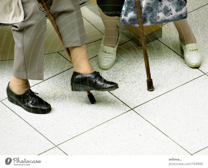 Lebensabend. Stockfoto. Rentner Seniorinnen Spazierstock Gehhilfe alte Frauen Weiblicher Senior Beine Füße Kommunikation Ruhestand Erholung Altersversorgung