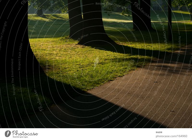 Schlagschatten Farbfoto Außenaufnahme Menschenleer Textfreiraum unten Tag Schatten Kontrast Sonnenlicht Ausflug Ruhestand Feierabend Umwelt Natur Landschaft
