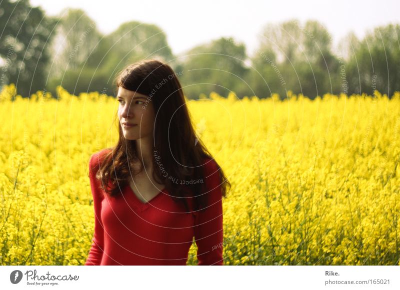Frühlingsmädchen. Farbfoto Außenaufnahme Porträt Oberkörper Wegsehen Mensch feminin Junge Frau Jugendliche Erwachsene 1 18-30 Jahre Natur Landschaft Pflanze