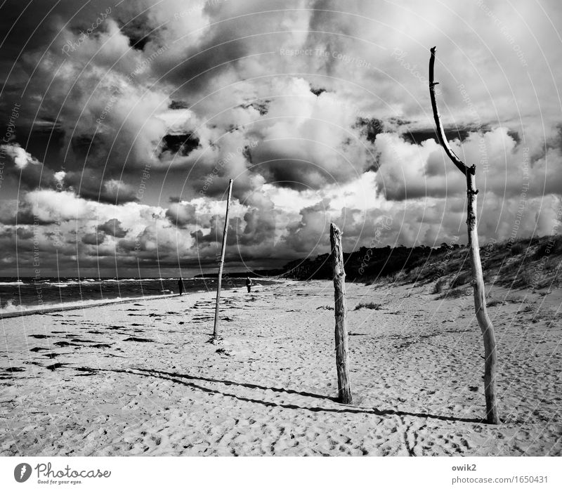 Strandhölzer Mensch Frau Erwachsene Mann 2 Umwelt Natur Landschaft Himmel Wolken Horizont Klima Schönes Wetter Wind Küste Ostsee Weststrand beobachten gehen