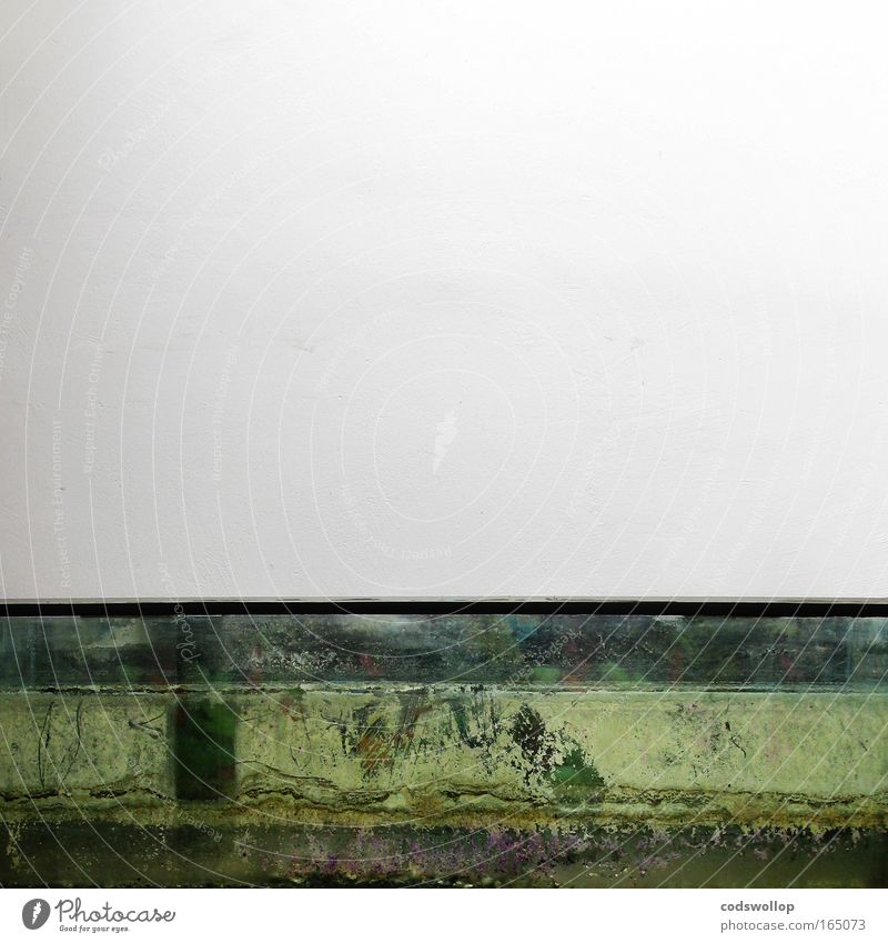 makro kosmische umweltkatastrophe Innenarchitektur Farbfoto Innenaufnahme Textfreiraum oben Textfreiraum Mitte Wand grün Menschenleer Wandverkleidung