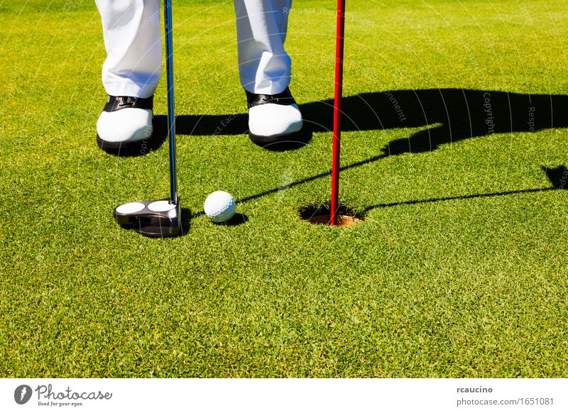 Golfspieler auf dem Übungsgrün, bereitend sich zu setzen Freude Erholung Spielen Sommer Sport Golfplatz Mann Erwachsene Fuß Hose Schuhe stehen weiß Einsamkeit