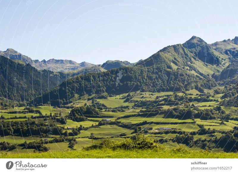 ...und da! - ein Schaf! Umwelt Natur Landschaft Pflanze Sommer Baum Gras Wiese Hügel Berge u. Gebirge Gipfel grün Pyrenäen Ferne Aussicht Himmel