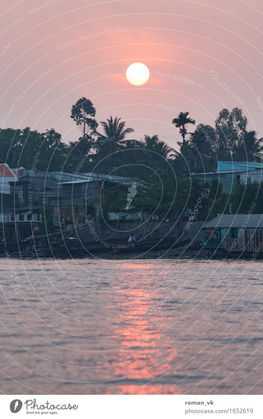 Good Morning Vietnam! Wasser Stimmung Sonnenaufgang Fluss Morgendämmerung Reflexion & Spiegelung Orange Reisefotografie Küste Palme trüb Farbfoto Außenaufnahme