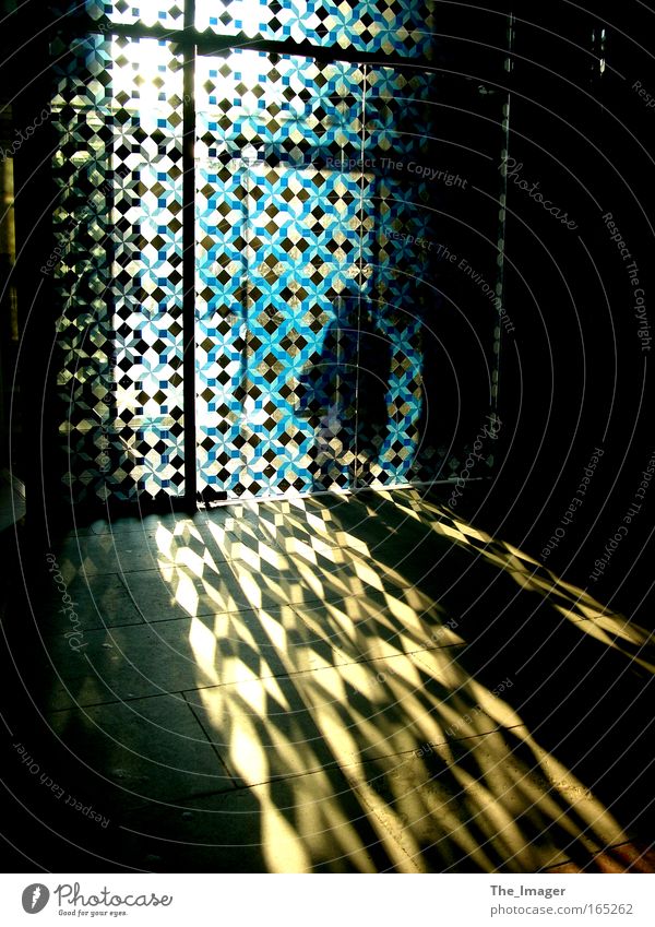 Kölner Dom Farbfoto Innenaufnahme Dämmerung Licht Schatten Silhouette Lichterscheinung Sonnenlicht Zentralperspektive Kirche Sehenswürdigkeit Wahrzeichen