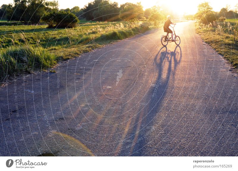 auf zur sonne! Mensch Jugendliche 1 8-13 Jahre Kind Kindheit Natur Sonnenlicht Schönes Wetter Feld Fahrradfahren Straße Erholung leuchten grün Glück
