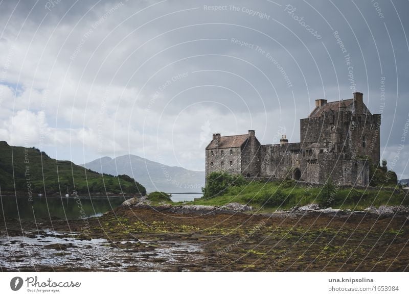 Schottische Burg in den Highlands Schottland Highlander Architektur Natur Eilean Donan Castle historisch alt Landschaft Sehenswürdigkeit Tourismus