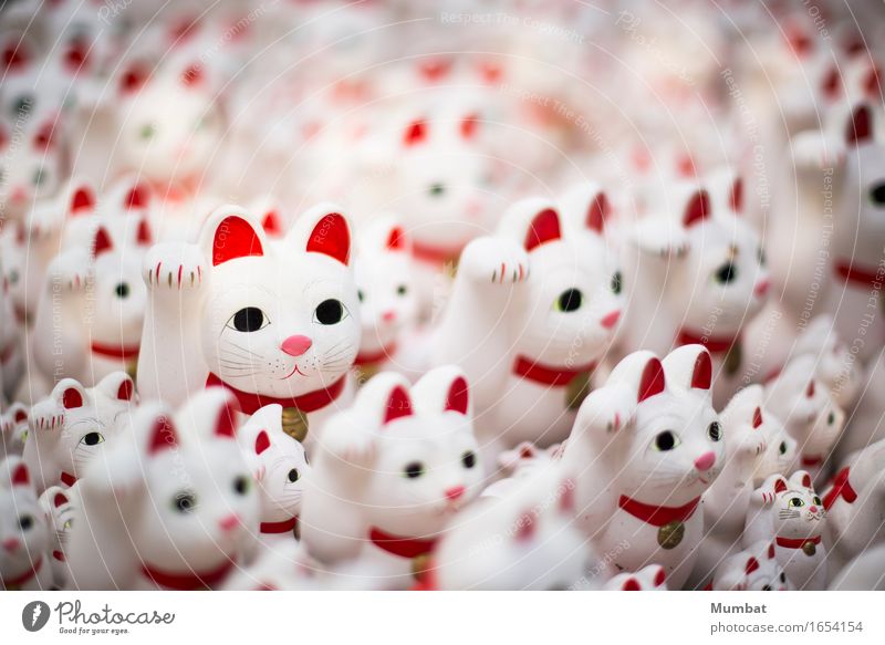 Maneki Neko Tempel Katze Tiergruppe Kitsch Krimskrams gruselig niedlich rot weiß Glück Fröhlichkeit Angst Entsetzen glücklich bizarr Ferien & Urlaub & Reisen