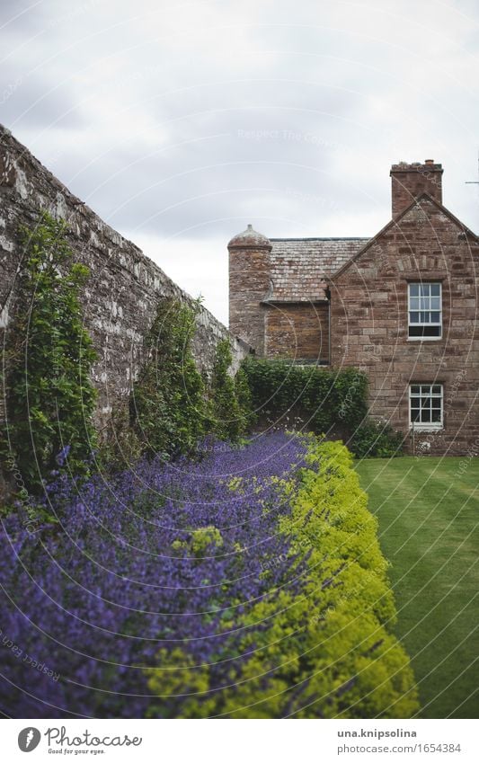 Halb und halb Schottland Großbritannien Garten Beet Blumenbeet Architektur wohnen englisches Wetter Wohnhaus Mauer Bepflanzung