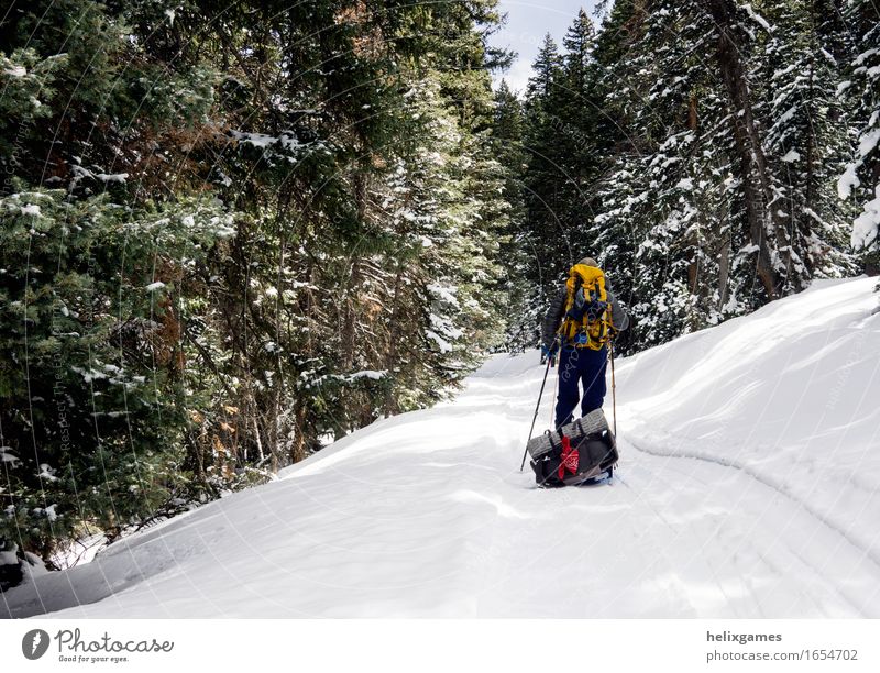 Ein Ski im Wald Leben Freizeit & Hobby Skifahren wandern Sport Fitness Sport-Training Sportler maskulin Körper 1 Mensch Abenteuer La Sal Mountains Utah Moab