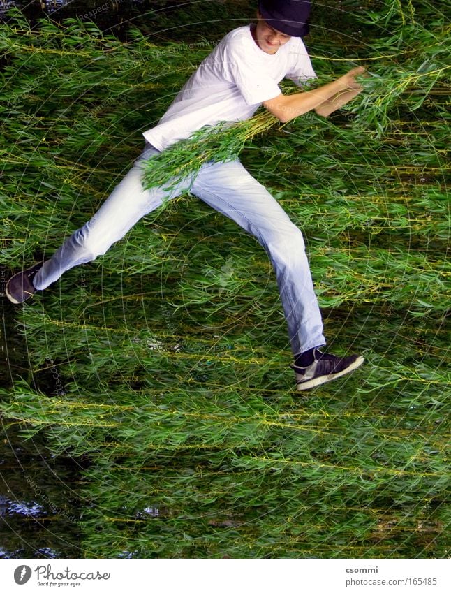 Jungle Walk Freude wandern Junger Mann Jugendliche Baum Blatt Weide Flugzeug Pilot Hut festhalten schaukeln frei Unendlichkeit grün Willensstärke Mut
