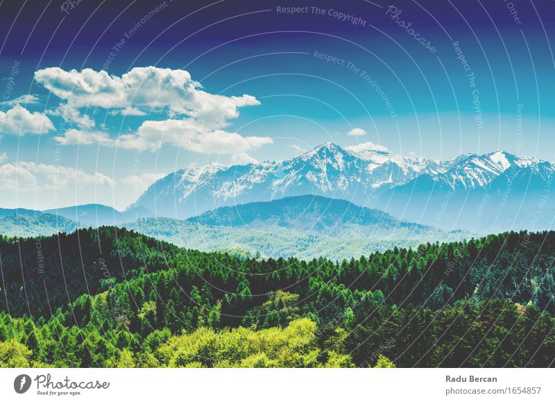 Karpatenberge Landschaft mit blauem Himmel im Sommer Umwelt Natur Erde Luft Wolken Baum Wald Berge u. Gebirge grün türkis friedlich Abenteuer Zufriedenheit