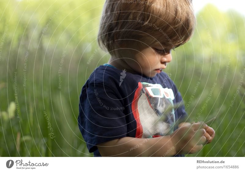 intensive beobachtung Ausflug Freiheit Mensch maskulin Kind Kleinkind Junge 1 1-3 Jahre Umwelt Natur Landschaft Sommer Gras Wiese Feld entdecken Spielen klein