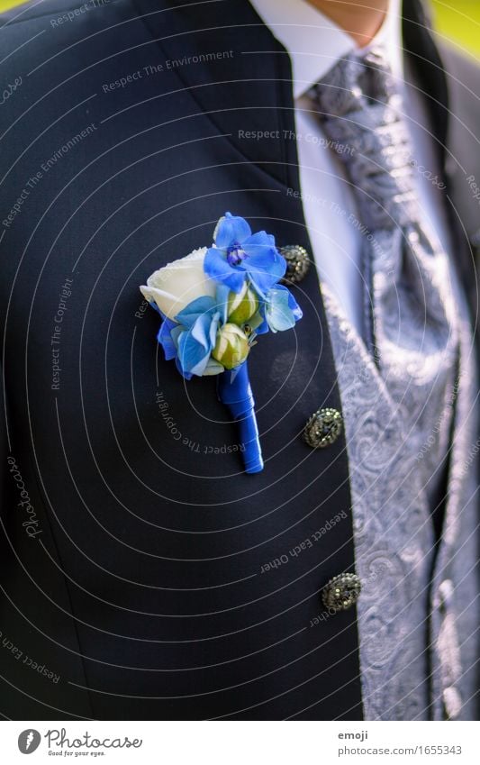 Bräutigam maskulin 1 Mensch Blume Bekleidung Anzug Accessoire Liebe Tradition Farbfoto Außenaufnahme Detailaufnahme Tag Schwache Tiefenschärfe