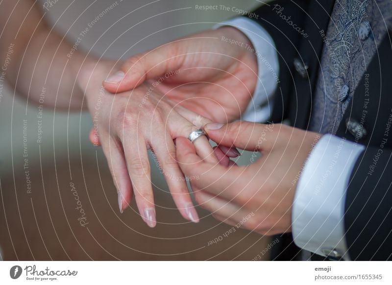 Ringtausch Paar Partner Erwachsene Hand 2 Mensch 18-30 Jahre Jugendliche Accessoire Schmuck Liebe Zukunft Hochzeit ringtausch Ehering Verbundenheit Zeichen