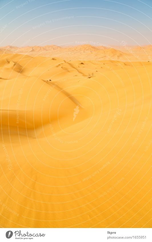 Sanddüne in Oman alten Wüste Rub al khali schön Ferien & Urlaub & Reisen Tourismus Abenteuer Safari Sommer Sonne Natur Landschaft Himmel Horizont Park Hügel