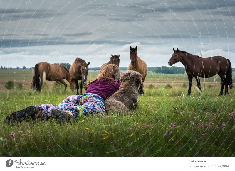 Tierische Freundschaften,  Dackelhüdin und junge Frau liegen im Gras auf der Weide und beobachten eine Pferdegruppe feminin Junge Frau Jugendliche