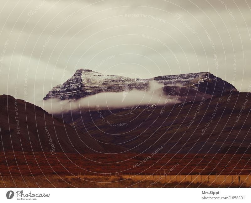 Wolkenhals Natur Landschaft Erde Luft Herbst Felsen Berge u. Gebirge Gipfel Schneebedeckte Gipfel Island wandern warten Ferne gigantisch groß braun Kraft