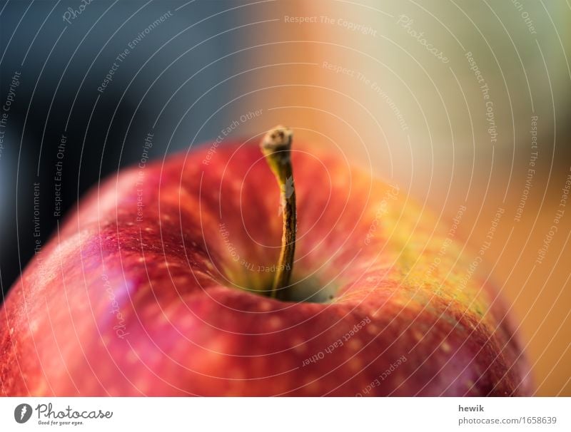 Apfel Lebensmittel Frucht Natur mehrfarbig gelb rot Farbfoto Innenaufnahme Nahaufnahme Detailaufnahme Textfreiraum oben Tag Unschärfe Schwache Tiefenschärfe