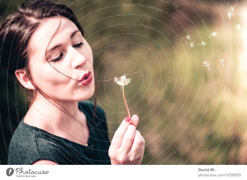 Junge Frau pustet an einer Pusteblume pusten Frühling Sommer Blume Freude Lebensfreude hübsch Natur Naturliebe Schwerelosigkeit Samen