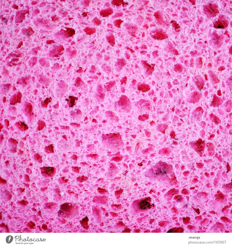 Pink Farbfoto Nahaufnahme Detailaufnahme Strukturen & Formen Totale Lifestyle Stil Körperpflege Wellness Wohnung Küche Bad Kunststoff Reinigen außergewöhnlich