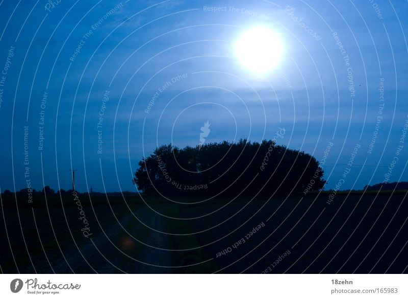 Under a blue moon Farbfoto Außenaufnahme Menschenleer Textfreiraum oben Abend Licht Sonnenlicht Sonnenstrahlen Sonnenaufgang Sonnenuntergang Gegenlicht