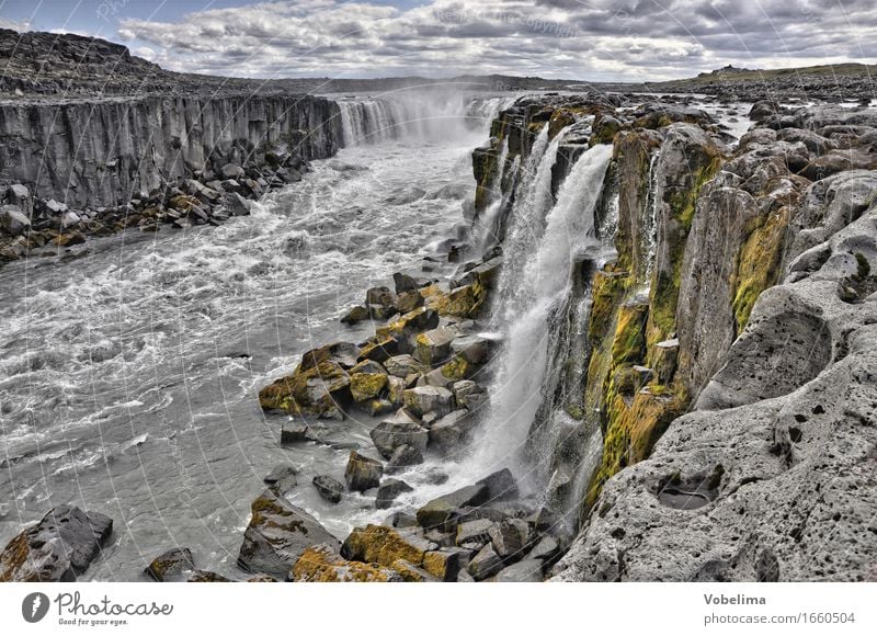 Selfoss, Island Tourismus Abenteuer Ferne Sightseeing Natur Landschaft Urelemente Wasser Wasserfall braun grau grün weiß Außenaufnahme Menschenleer Totale